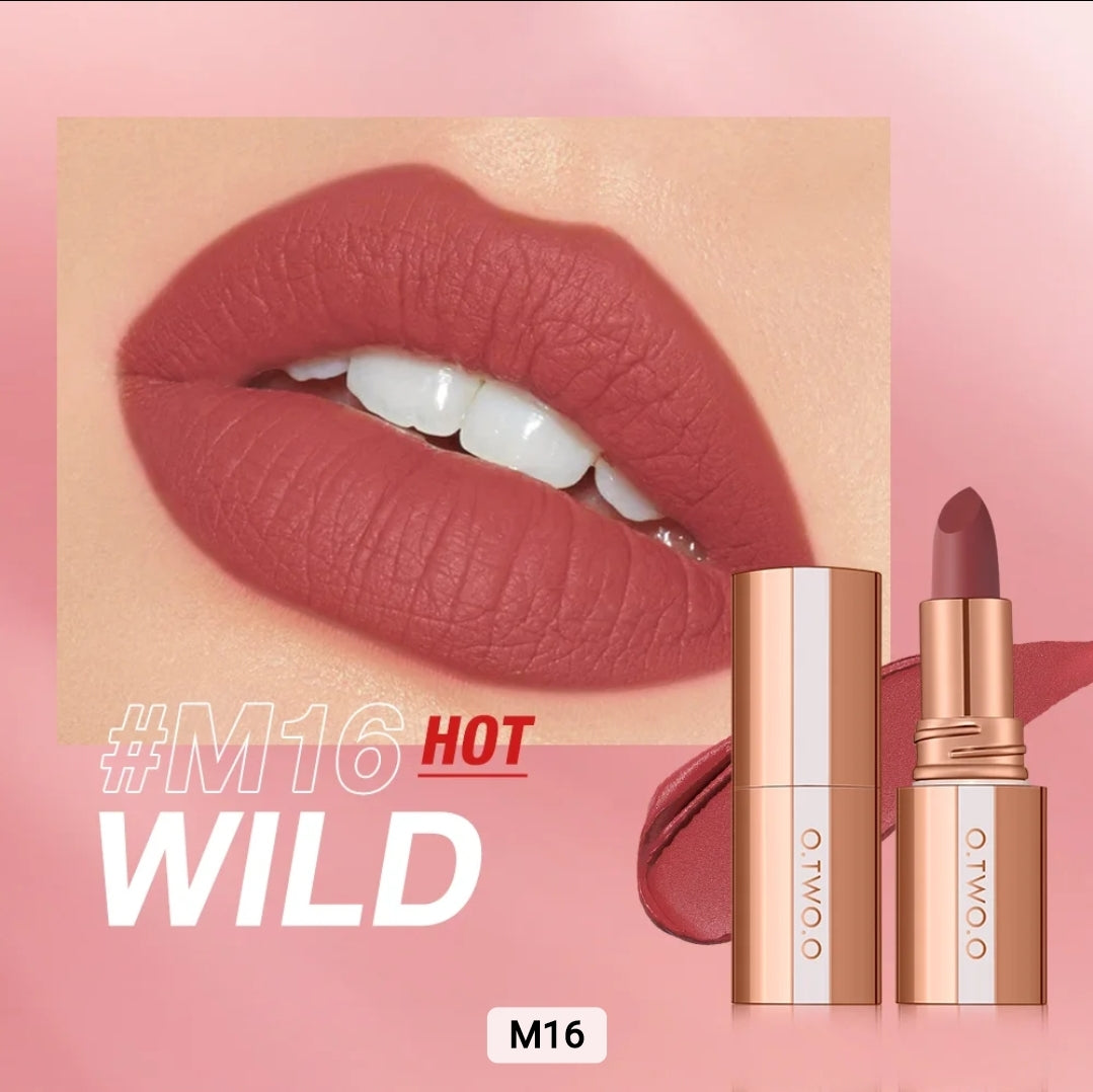 OtwoO Delicate Texture Non Stick High Grade, Waterproof Matte Lipstick